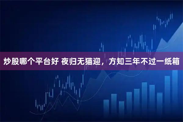 炒股哪个平台好 夜归无猫迎，方知三年不过一纸箱